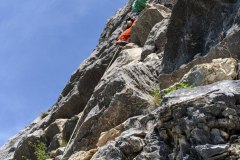 IMG_20200523_103049-1