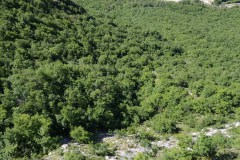 IMG_20190601_102536